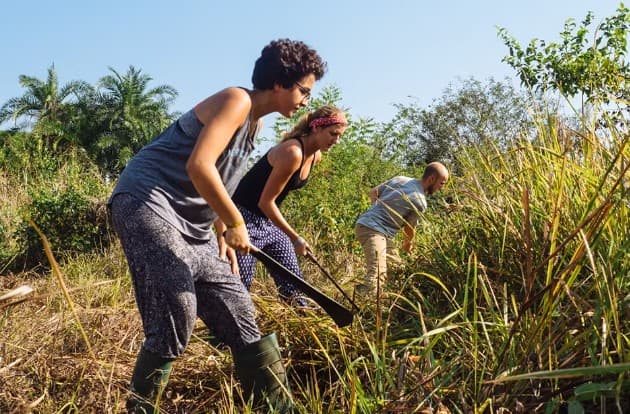 Sustainable Agriculture Practices in Ghana